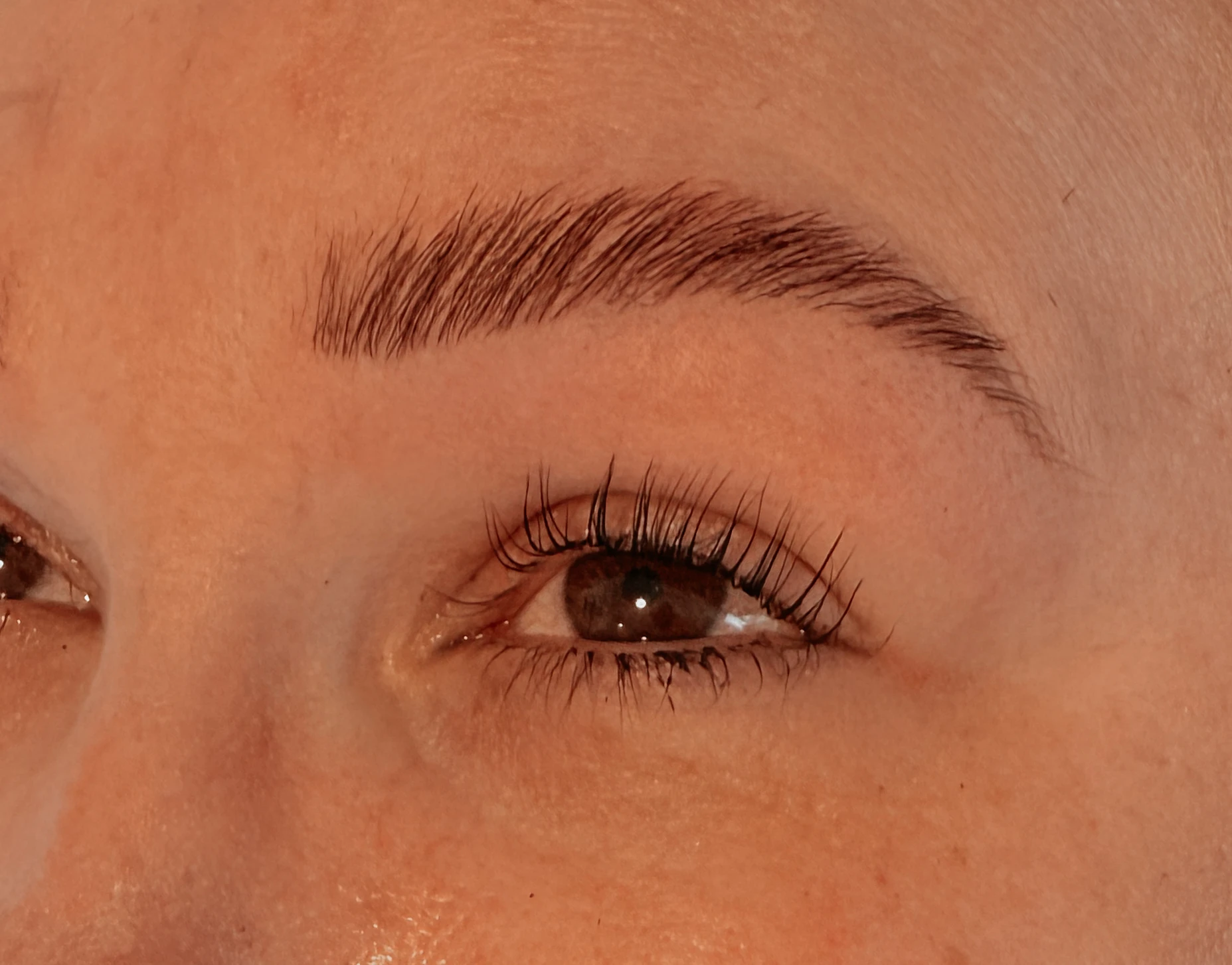 Wimpern und Augenbrauen nach Full Eye Glow